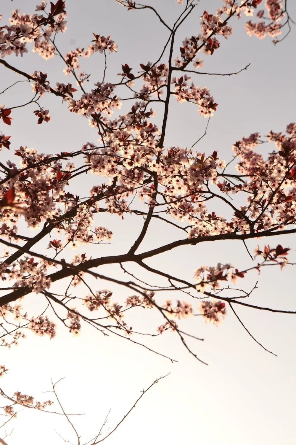 Close-up of finished cherry blossom design showing the dimensional effect and branch detail