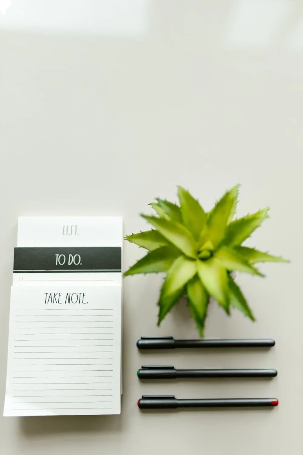 Flat lay of a notepad with "TO DO" and "TAKE NOTE" sections, three black pens, and a green plant, all on a light surface