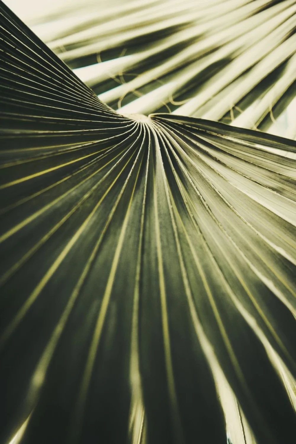 Close-up of palm leaf negative space nails with green fronds against bare nail, showcasing tropical nail designs